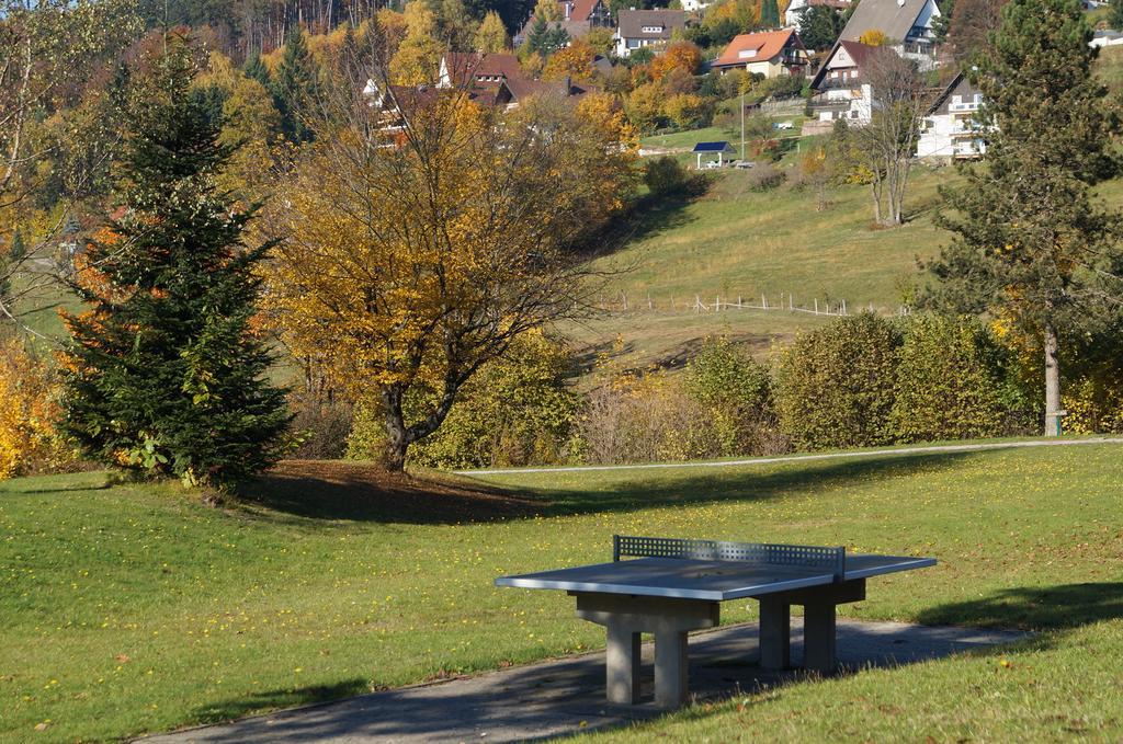 Terrassenpark Apartments Sasbachwalden Exterior foto