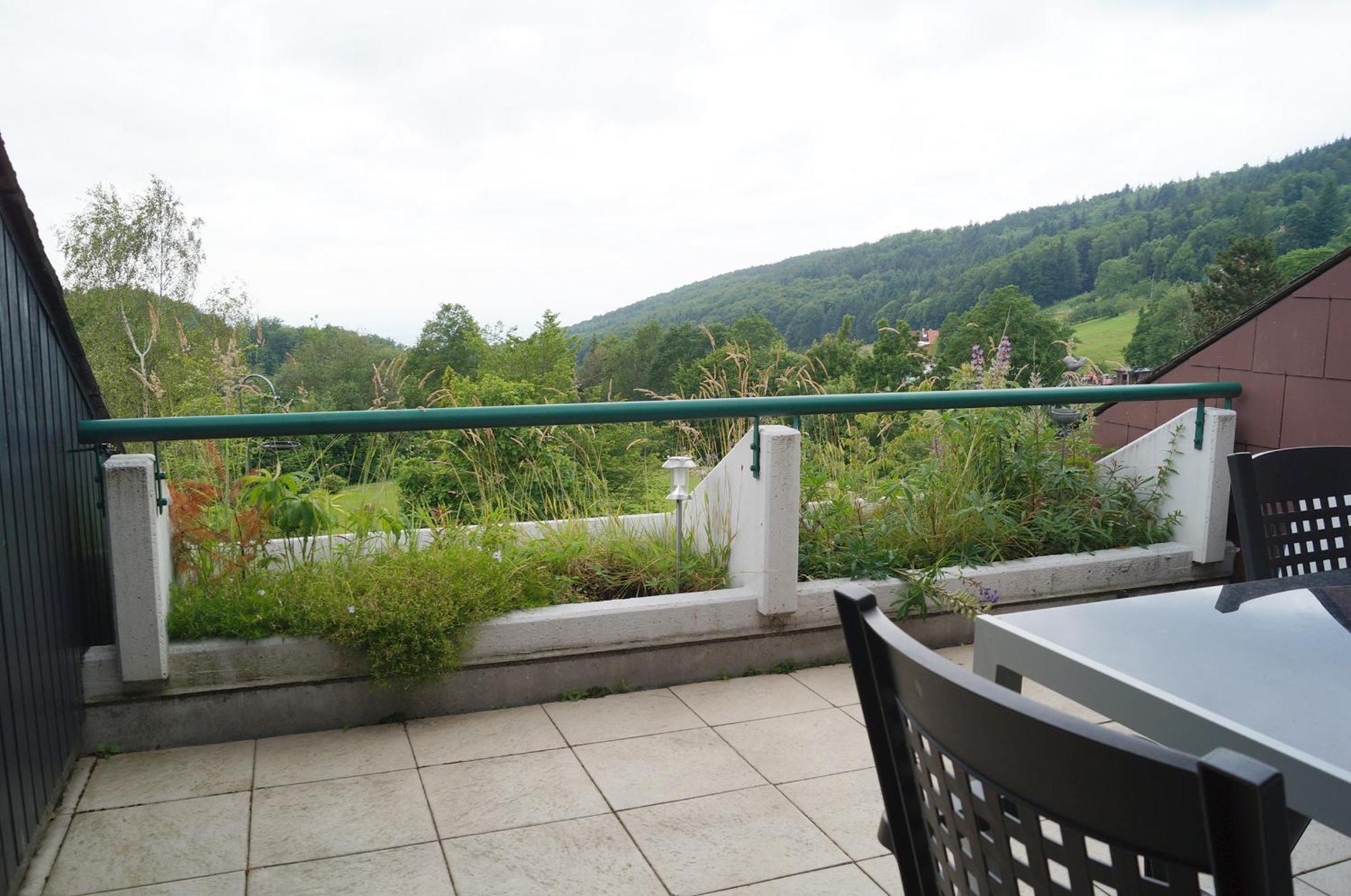 Terrassenpark Apartments Sasbachwalden Quarto foto